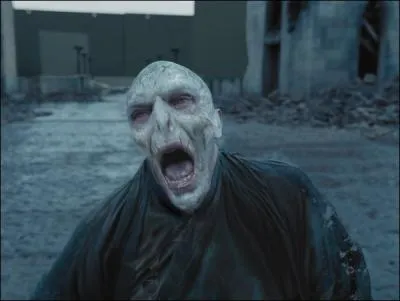 Quand meurt Voldemort ?