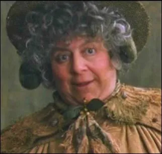 Qui est le professeur de botanique  l'poque de Harry et ses amis ?