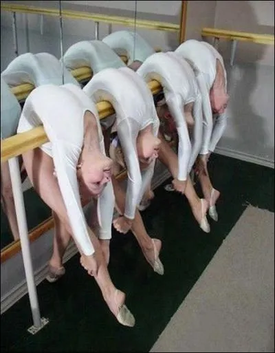 C'est leur faon de se reposer, en attendant la nuit !