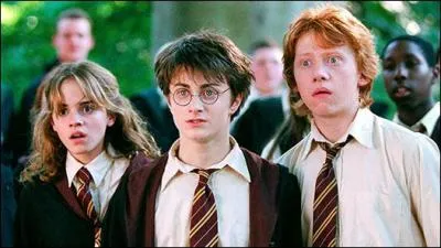 Que font les Pitiponk aux voyageur ?