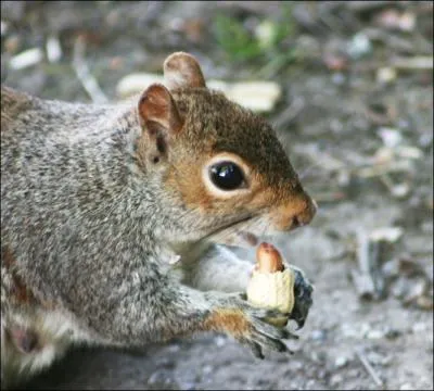 Celui-ci, vous le connaissez moins !