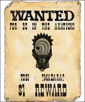 Qui est recherch sur cette affiche Wanted ?