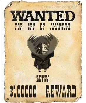 Qui est recherch sur cette affiche Wanted ?