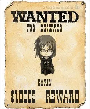 Qui est recherch sur cette affiche Wanted ?