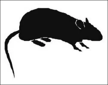 Quel personnage cache-t-il ?