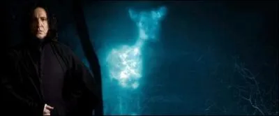 Pourquoi le Patronus de Rogue prend-il la forme d'une biche ?