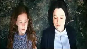 Devant quel tableau Rogue demande-t-il pardon  Lily ?