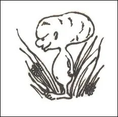 De quelle crature se nourrissent les Jarvey ? (ou charretier)