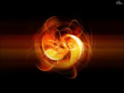 A quel animal ressemble le crabe de feu ?