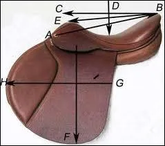 Comment se nomme la partie B ?