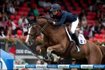 Quel est ce cheval ?