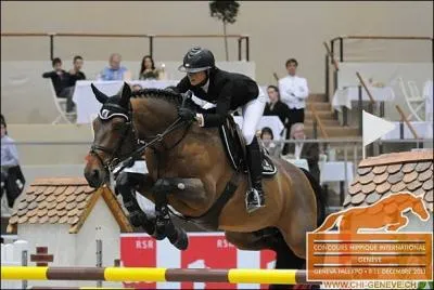 Quel est ce cheval ?