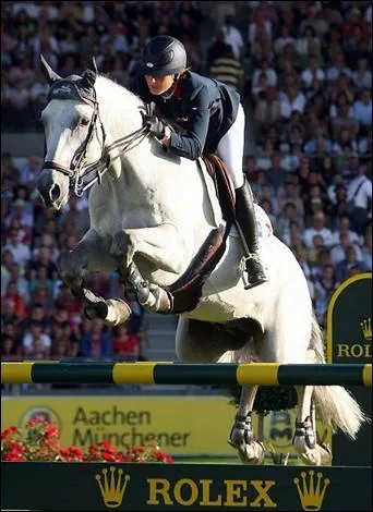 Quel est ce cheval ?