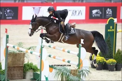 Quel est ce cheval ?