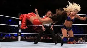 Quelle diva a perdu contre Kelly Kelly le 27 fvrier ?