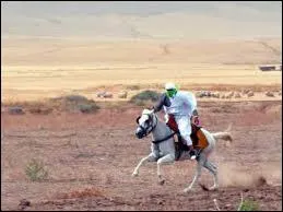 Comment appellent-on les chanteurs traditionnels dans les Aurs ?