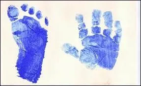 Notre pied comme notre main est compos de 14 phalanges.