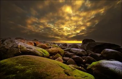 Sur ces rochers, il est comme un poisson dans l'eau !