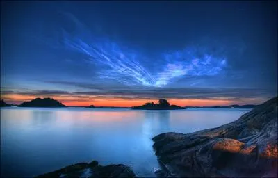Le soir, en bandes nombreuses, vous les verrez passer !