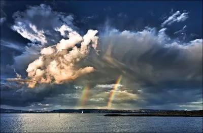 Ne craignant plus le harpon meurtrier, elle peut venir dans ces eaux et vous gratifier de son chant !