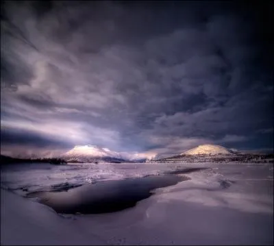 Il profite d'un trou dans la glace pour venir respirer, mais attention  l'ours polaire !