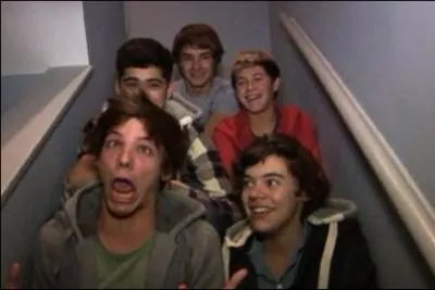 Combien de videos diary ont-ils fait en tout ? (X factor + tourne)