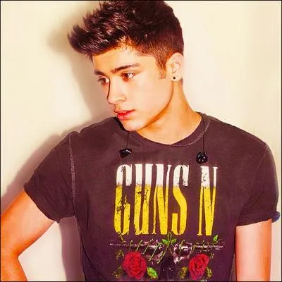 Quel signe le reprsente ? (rfrence aux vidos diary)