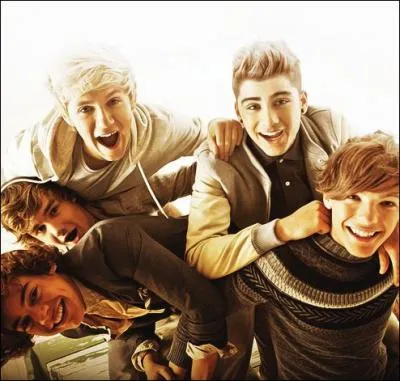 Quelle chanson des One Direction a t crite par Ed Sheeran ?