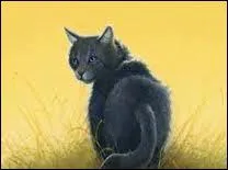 Qui est le nouveau chef du Clan du Vent ?