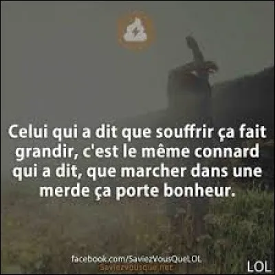 ''Le trépas vient tout guérir 
Mais ne bougeons d'où nous sommes 
Plutôt souffrir que mourir 
C'est la devise des hommes''