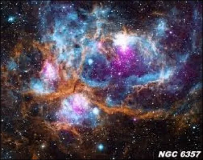 ''Telle est la loi de l'univers 
Si tu veux qu'on t'épargne, épargne aussi les autres''