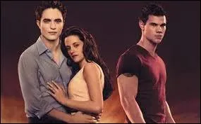 Dans quel chapitre de Twilight peut-on voir ces personnages ?