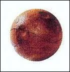 Je suis une balle qui essaye de faire tomber les joueurs de leur balai, je suis...