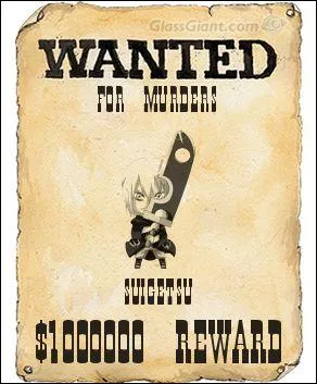 Qui est recherch sur cette affiche Wanted ?