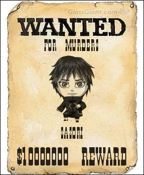 Qui est recherch sur cette affiche Wanted ?