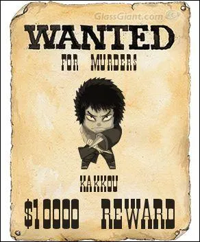Qui est recherch sur cette affiche Wanted ?