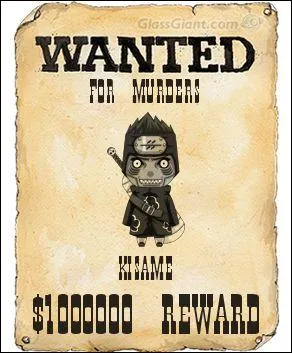 Qui est recherch sur cette affiche Wanted ?