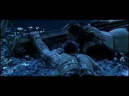 Aprs les prises dans le noir total (notamment les scnes censes se passes en plein ocan aprs le naufrage), les acteurs et figurants ont avou... ?