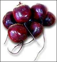 Lisez le dialogue suivant. Juan :  Oiga,   Pablo :  Digame   Juan :  Quiero comprara verduras pero no s si a ti te gustan las Remolachas.   Comment les deux personnages peuvent-ils se parler ?