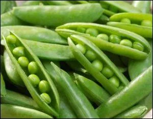 Quelle affirmation est correcte ?