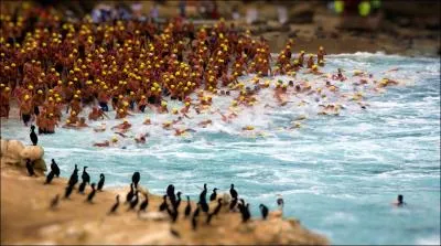 Pour une fois, c'est l'animal qui observe l'homme !