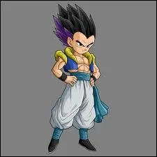 Quel est ce personnage ?