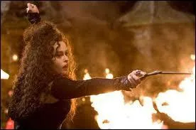 Dans les tomes o elle apparait, quels sont les sortilges utiliss par Bellatrix ?