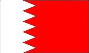  quel pays appartient ce drapeau ?