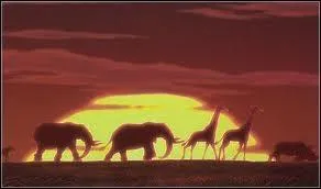 Quel est le titre du Roi Lion 2 ?