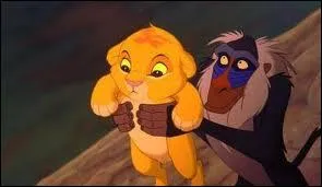 Comment s'appelle la petite de Simba ?