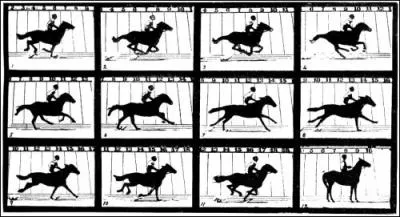 Combien d'allures le cheval possde-t-il ?