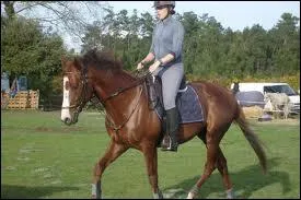 De quel ct monte-t-on  cheval ?