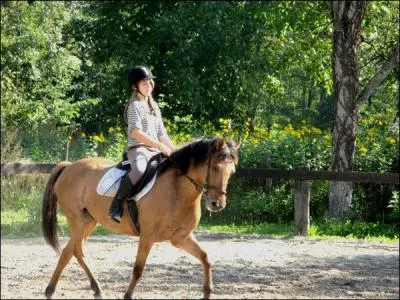 Vers o dois-tu diriger ton cheval pour partir au pas ?