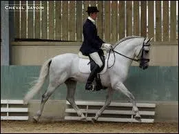 Lorsque tu t'arrtes, dans quelle position dois-tu tre ?